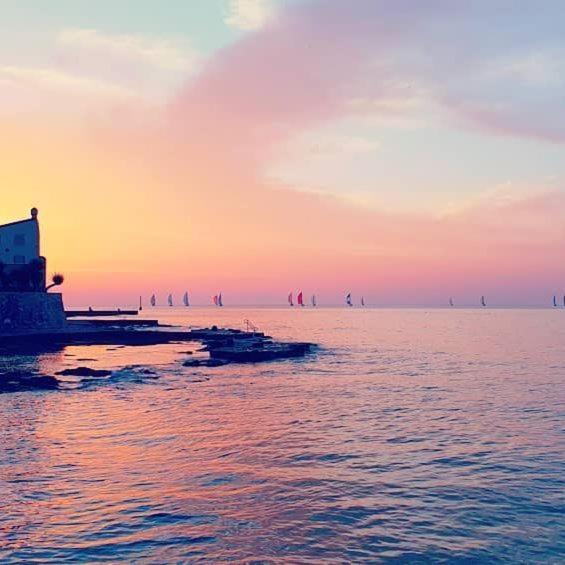 Apartmani Marina Poreč Extérieur photo